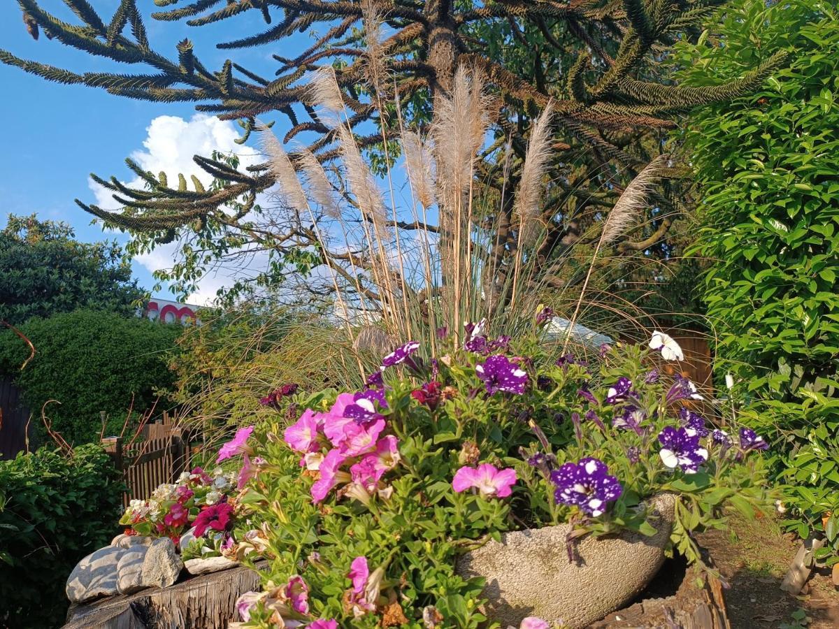 B&B Il Tulipano Como Exteriör bild